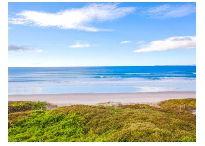 Cabbage Tree - Summer Or Winter Beachfront Haven