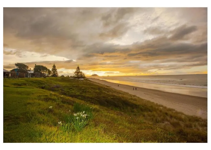 Cabbage Tree - Summer Or Winter Beachfront Haven