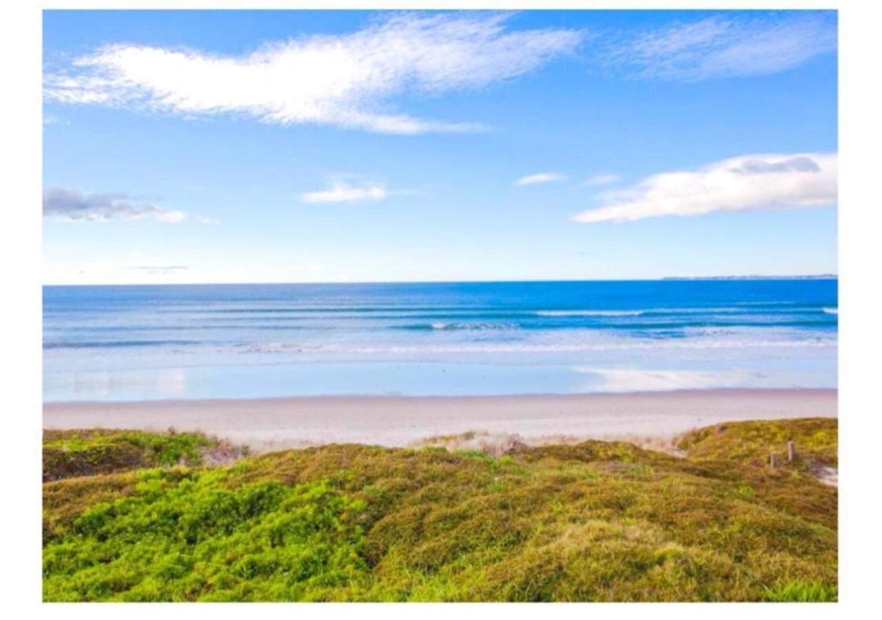 Cabbage Tree - Summer Or Winter Beachfront Haven Papamoa