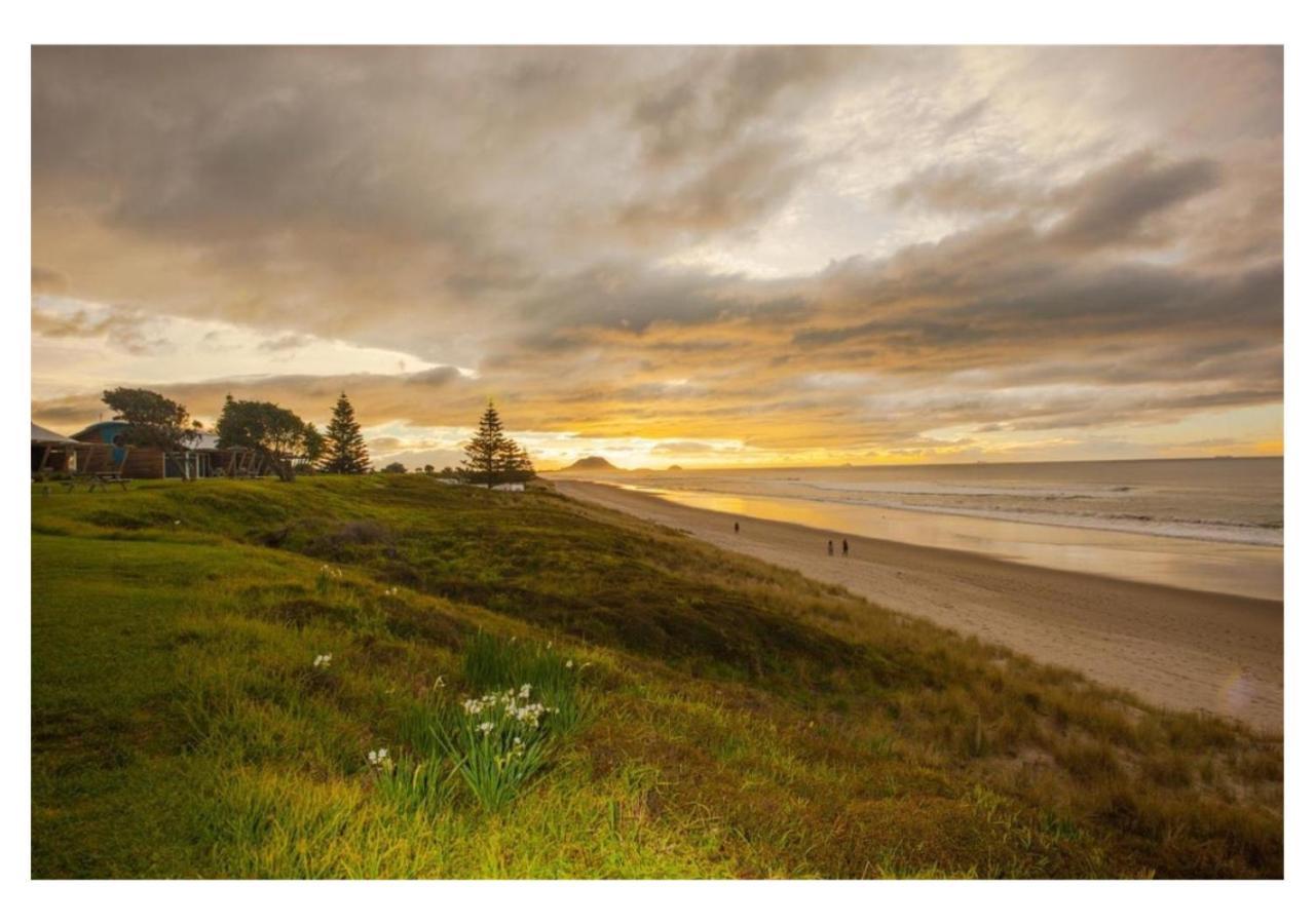 Cabbage Tree - Summer Or Winter Beachfront Haven Papamoa